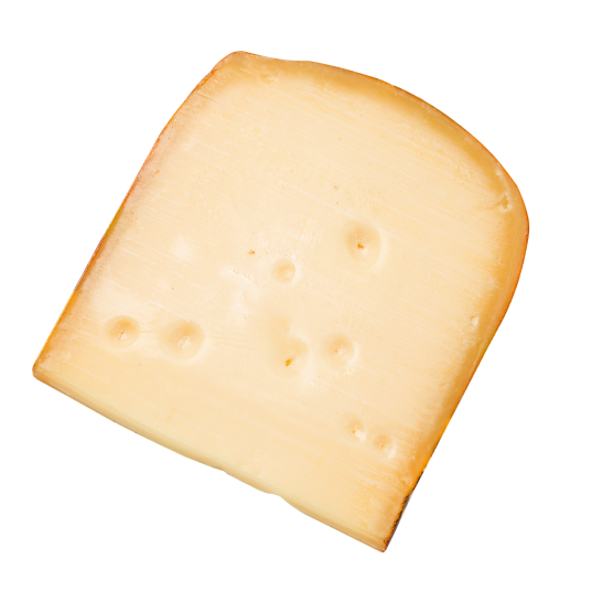 fromage Fontina