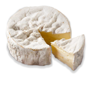fromage pâte molle